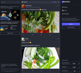 Screenshot of Mastodon search results on harvest, different instance