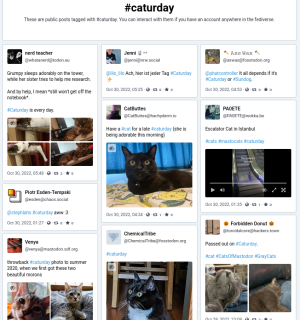 Screenshot of results for Mastodon search for Caturday